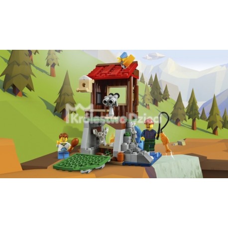 LEGO® - CREATOR - DOMEK NA WSI - 31098