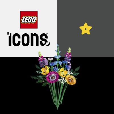 KLOCKI LEGO® ICONS